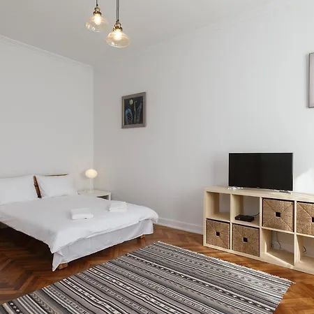 Lux Apartament Petru Maior Apartment